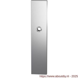 GPF Bouwbeslag RVS 9012.00 veiligheids buitenschild SKG*** 248x52x11 mm rechthoekig blind met krukgat RVS geborsteld - A21004759 - afbeelding 1