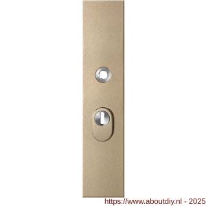 GPF Bouwbeslag Anastasius 9018.A4 veiligheids buitenschild SKG*** 248x52x11 mm rechthoekig met kerntrekbeveiliging PC55 massief Champagne blend - A21012857 - afbeelding 1