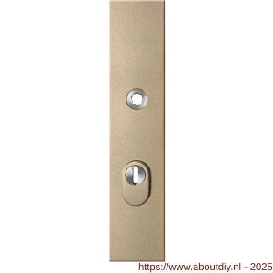 GPF Bouwbeslag Anastasius GPF9018.A4 PC72 veiligheids buitenschild gatdeel SKG*** 248x52x11 mm rechthoekig kerntrekbeveiliging PC72 massief Champagne blend - A21012858 - afbeelding 1