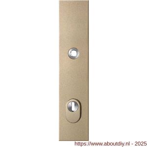 GPF Bouwbeslag Anastasius GPF9018.A4 PC92 veiligheids buitenschild gatdeel SKG*** 248x52x11 mm rechthoekig kerntrekbeveiliging PC92 massief Champagne blend - A21012859 - afbeelding 1