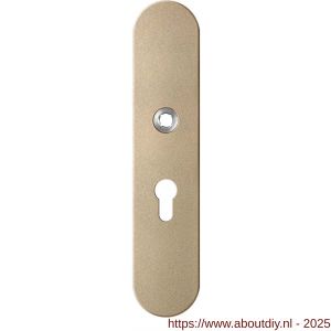 GPF Bouwbeslag Anastasius 9102.A4 veiligheids binnenschild SKG*** 248x52x8 mm afgerond PC55 Champagne blend - A21012797 - afbeelding 1