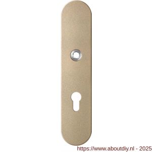 GPF Bouwbeslag Anastasius 9102.A4 veiligheids binnenschild SKG*** 248x52x8 mm afgerond PC72 Champagne blend - A21012798 - afbeelding 1