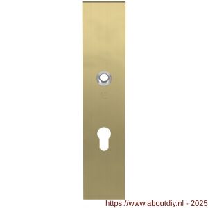 GPF Bouwbeslag PVD 9112.55P4 veiligheids binnenschild SKG*** 248x52x8 mm rechthoekig PC55 PVD mat messing - A21004784 - afbeelding 1