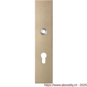 GPF Bouwbeslag Anastasius 9112.A4 veiligheids binnenschild SKG*** 248x52x8 mm rechthoekig PC72 Champagne blend - A21012810 - afbeelding 1