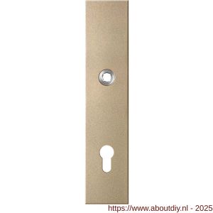GPF Bouwbeslag Anastasius 9112.A4 veiligheids binnenschild SKG*** 248x52x8 mm rechthoekig PC92 Champagne blend - A21012811 - afbeelding 1