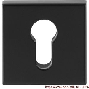 GPF Bouwbeslag Smeedijzer GPF9386.64 Outside veiligheidsbuitenrozet vierkant 54 mm SKG*** smeedijzer zwart - A21012911 - afbeelding 1