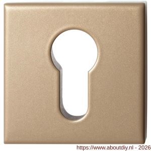 GPF Bouwbeslag Anastasius GPF9386.A4 Inside veiligheidsbinnenrozet vierkant 54x54x12,5 mm SKG*** Champagne blend - A21012933 - afbeelding 1