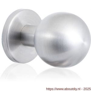 GPF Bouwbeslag RVS 9822.09 kogel voordeurknop 63 mm op rozet 63 mm RVS geborsteld - A21000320 - afbeelding 1