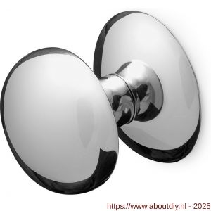 GPF Bouwbeslag RVS 9829.49 Paddenstoel voordeurknop 65 mm op rozet 70 mm RVS gepolijst - A21013354 - afbeelding 1