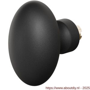 GPF Bouwbeslag ZwartWit 9851.61 S4 Ei-knop 62 mm voor veiligheids schilden vast met bout M10 zwart - A21013358 - afbeelding 1