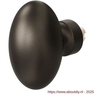 GPF Bouwbeslag Anastasius 9851.A1 S4 Ei-knop 62 mm voor veiligheids schilden vast met bout M10 Dark blend - A21013360 - afbeelding 1
