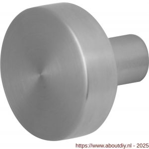 GPF Bouwbeslag RVS 9852.09 S4 vlakke knop 52x16 mm voor veiligheids schilden vast met bout M10 RVS geborsteld - A21000329 - afbeelding 1