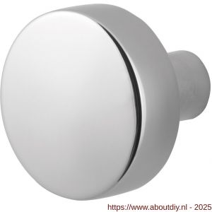 GPF Bouwbeslag RVS 9852.49 S5 vlakke knop 52x16 mm voor veiligheids schilden vast met wisselstift RVS gepolijst - A21000330 - afbeelding 1