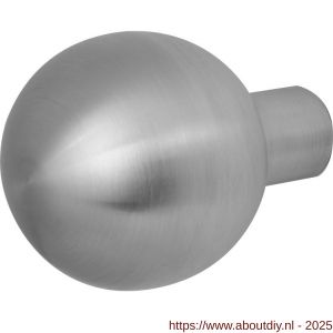 GPF Bouwbeslag RVS 9854.09 S4 kogel knop 50 mm voor veiligheids schilden vast met bout M10 RVS geborsteld - A21000334 - afbeelding 1