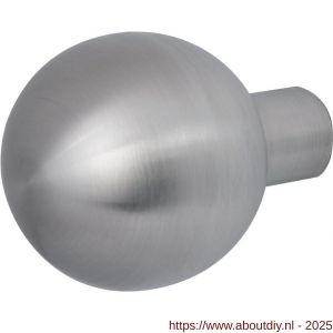 GPF Bouwbeslag RVS 9854.09 S5 kogel knop 50 mm voor veiligheidsschilden vast met wisselstift RVS geborsteld - A21003183 - afbeelding 1