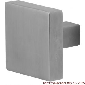 GPF Bouwbeslag RVS 9856.09 S4 vierkante knop 53x53x16 mm voor veiligheids schilden vast met bout M10 RVS geborsteld - A21000336 - afbeelding 1
