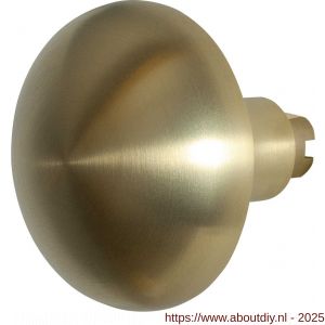 GPF Bouwbeslag PVD 9857.P4 S5 Paddenstoel knop 65 mm voor veiligheids schilden vast met wisselstift PVD mat messing - A21010514 - afbeelding 1