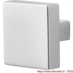 GPF Bouwbeslag RVS 9858.49 S4 vierkante knop RVS gepolijst 60x60x16 mm voor veiligheids schilden vast met bout M10 RVS gepolijst - A21006006 - afbeelding 1