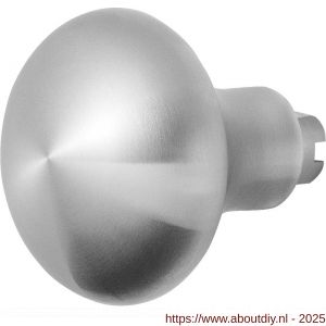GPF Bouwbeslag RVS 9859.09 S4 Paddenstoel knop 52 mm voor veiligheids schilden vast met bout M10 RVS geborsteld - A21008927 - afbeelding 1