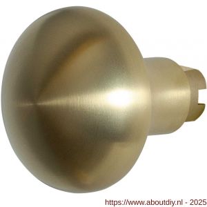 GPF Bouwbeslag PVD 9859.P4 S4 Paddenstoel knop 52 mm voor veiligheids schilden vast met bout M10 PVD mat messing - A21010517 - afbeelding 1