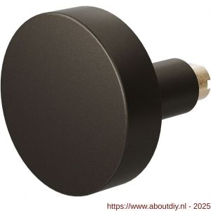 GPF Bouwbeslag Anastasius 9860.A1 S5 excentrische knop 60x16 mm voor veiligheids schilden vast met wisselstift Dark blend - A21012208 - afbeelding 1