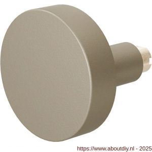 GPF Bouwbeslag Anastasius 9860.A4 S5 excentrische knop 60x16 mm voor veiligheids schilden vast met wisselstift Champagne blend - A21012211 - afbeelding 1