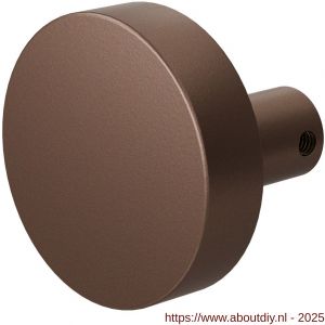 GPF Bouwbeslag Anastasius 9865.A2 S1 excentrische knop 60x16 mm draaibaar met krukstift Bronze blend - A21012409 - afbeelding 1