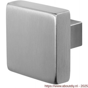 GPF Bouwbeslag RVS 9948.09 S2 vierkante knop 53x53x16 mm vast met knopvastzetter RVS geborsteld - A21003192 - afbeelding 1