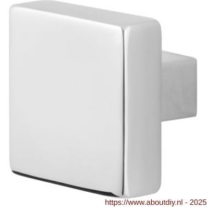 GPF Bouwbeslag RVS 9948.49 S2 vierkante knop 53x53x16 mm vast met knopvastzetter RVS gepolijst - A21003155 - afbeelding 1