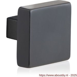 GPF Bouwbeslag PVD 9948.P1 S1 vierkante knop 53x53x16 mm draaibaar met krukstift PVD antraciet - A21008097 - afbeelding 1