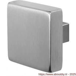 GPF Bouwbeslag RVS 9950.09 S3 vierkante knop 60x60x16 mm vast met metaalschroef M10 RVS geborsteld - A21003159 - afbeelding 1