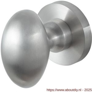 GPF Bouwbeslag RVS 9951.09-00 S1 GPF9951.09-00 Ei-knop S1 62 mm draaibaar met ronde rozet RVS geborsteld - A21014073 - afbeelding 1