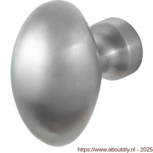 GPF Bouwbeslag RVS 9951.09 S2 Ei-knop 62 mm vast met knopvastzetter RVS geborsteld - A21013373 - afbeelding 1