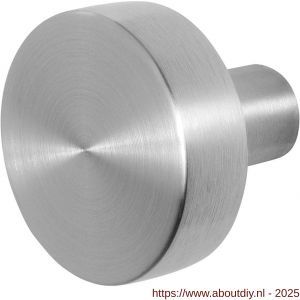 GPF Bouwbeslag RVS 9952.09 S2 vlakke knop 52x16 mm vast met knopvastzetter RVS geborsteld - A21003189 - afbeelding 1