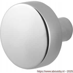 GPF Bouwbeslag RVS 9952.49 S2 vlakke knop 52x16 mm vast met knopvastzetter RVS gepolijst - A21003168 - afbeelding 1