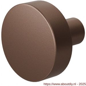 GPF Bouwbeslag Anastasius 9952.A2 S1 vlakke knop 52x16 mm draaibaar met krukstift Bronze blend - A21011048 - afbeelding 1