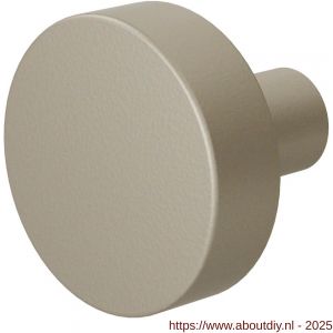 GPF Bouwbeslag Anastasius 9952.A4 S1 vlakke knop 52x16 mm draaibaar met krukstift Champagne blend - A21011050 - afbeelding 1