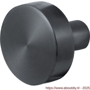 GPF Bouwbeslag PVD 9952.P1 S1 vlakke knop 52x16 mm draaibaar met krukstift PVD antraciet - A21008100 - afbeelding 1