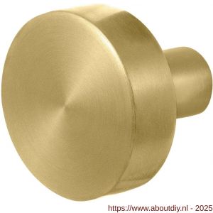 GPF Bouwbeslag PVD 9952.P4 S1 vlakke knop 52x16 mm draaibaar met krukstift PVD mat messing - A21008101 - afbeelding 1
