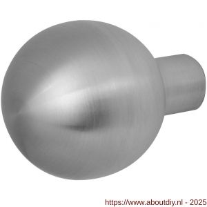 GPF Bouwbeslag RVS 9954.09 S2 kogelknop 50 mm vast met knopvastzetter RVS geborsteld - A21003193 - afbeelding 1