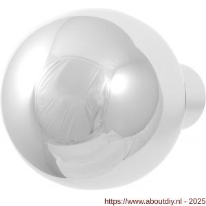 GPF Bouwbeslag RVS 9954.49 S2 kogelknop 50 mm vast met knopvastzetter RVS gepolijst - A21003173 - afbeelding 1