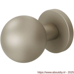 GPF Bouwbeslag Anastasius 9954.A4-00 S1 GPF9954.A4-00 kogelknop S1 50 mm draaibaar met ronde rozet Champagne blend - A21016640 - afbeelding 1