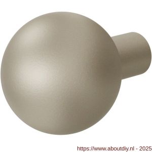 GPF Bouwbeslag Anastasius 9954.A4 S1 kogelknop 50 mm draaibaar met krukstift Champagne blend - A21012419 - afbeelding 1