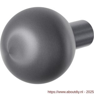 GPF Bouwbeslag PVD GPF9954.P1 S1 kogel deurknop 50 mm draaibaar met krukstift PVD antraciet - A21011051 - afbeelding 1