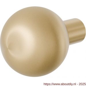 GPF Bouwbeslag PVD 9954.P4 S1 kogelknop 50 mm draaibaar met krukstift PVD mat messing - A21008103 - afbeelding 1