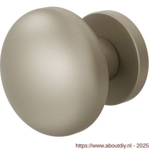 GPF Bouwbeslag Anastasius 9957.A4-00 S1 GPF9957.A4-00 Paddenstoel knop S1 65 mm draaibaar met rond rozet Champagne blend - A21016643 - afbeelding 1