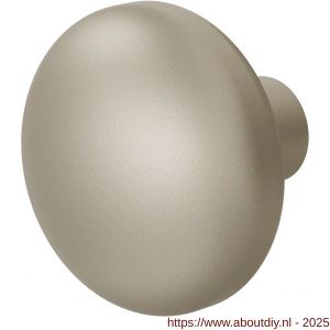 GPF Bouwbeslag Anastasius 9957.A4 S1 Paddenstoel knop 65 mm draaibaar met krukstift Champagne blend - A21012423 - afbeelding 1