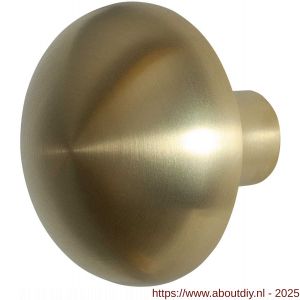 GPF Bouwbeslag PVD 9957.P4 S1 Paddenstoel knop 65 mm draaibaar met krukstift PVD mat messing - A21011057 - afbeelding 1
