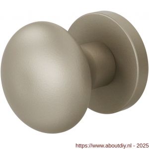 GPF Bouwbeslag Anastasius 9959.A4-00 S1 GPF9959.A4-00 Paddenstoel knop S1 52 mm draaibaar met rond rozet Champagne blend - A21016644 - afbeelding 1