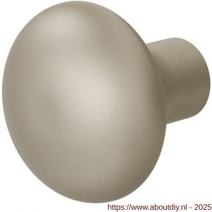 GPF Bouwbeslag Anastasius 9959.A4 S1 Paddenstoel knop 52 mm draaibaar met krukstift Champagne blend - A21012427 - afbeelding 1